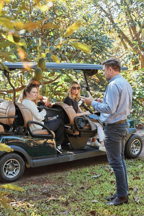 Educational tasting tour with private guide