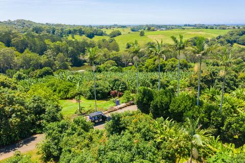 Tropical Fruit World - Tours and Experiences