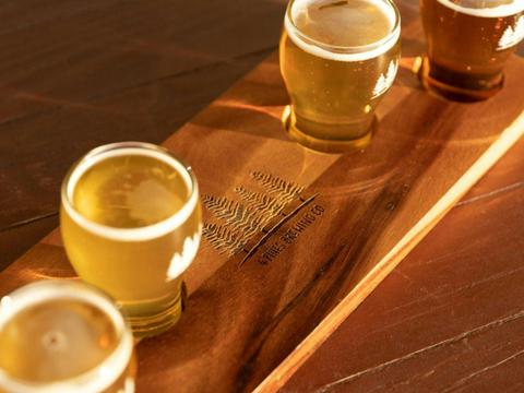 Heli Tour to 4 Pines at the Farm with Rotor One