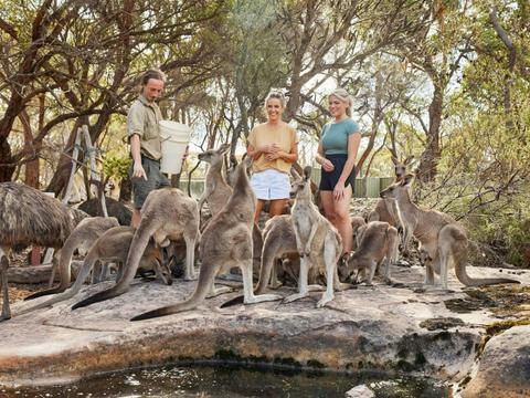 Walkabout Wildlife Helicopter Tour with Rotor One