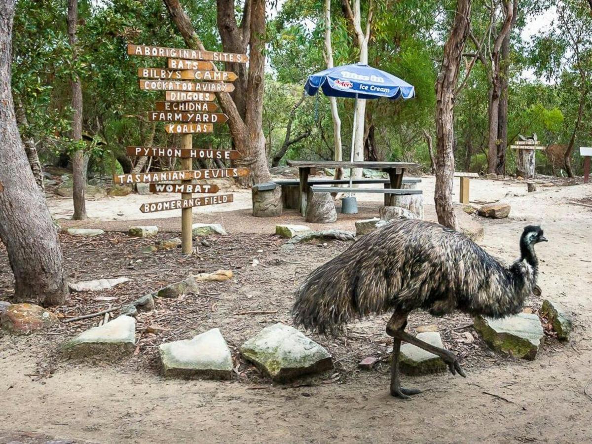 Walkabout Wildlife Helicopter Flight with Rotor One