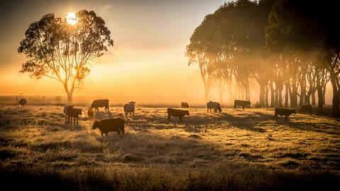 Richmond Valley Hinterland Self Drive Tour