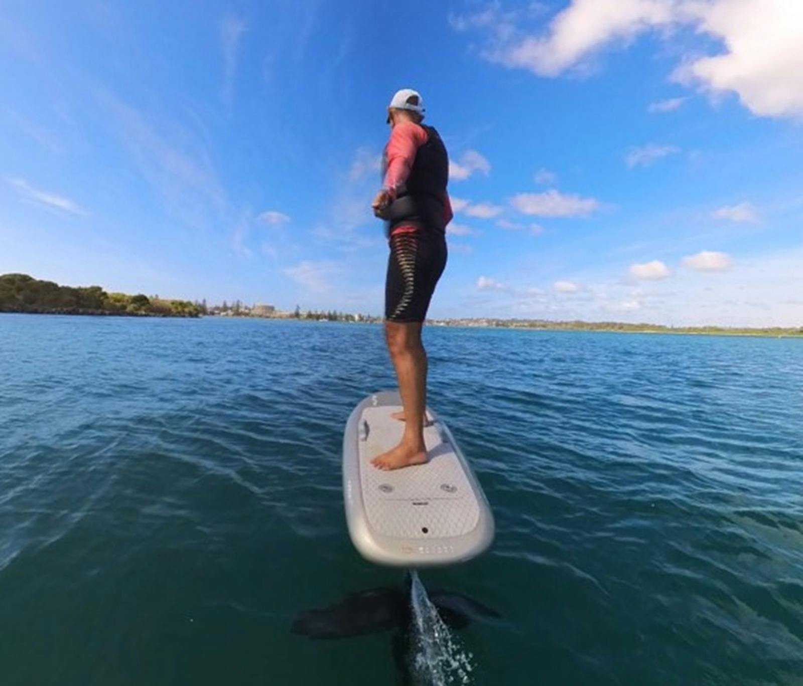 Carve or cruise the rider makes the choice