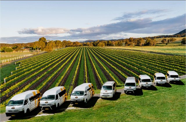 Mudgee Wine Explorer Tours