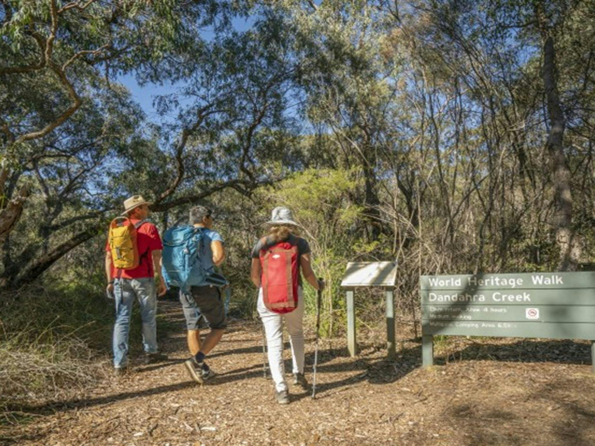 A family heading off to explore Little Dandahra Creek walking track in Gibraltar Range National Park
