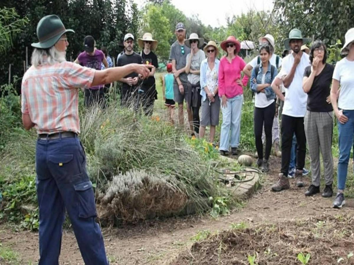 Purple Pear Farm Tour