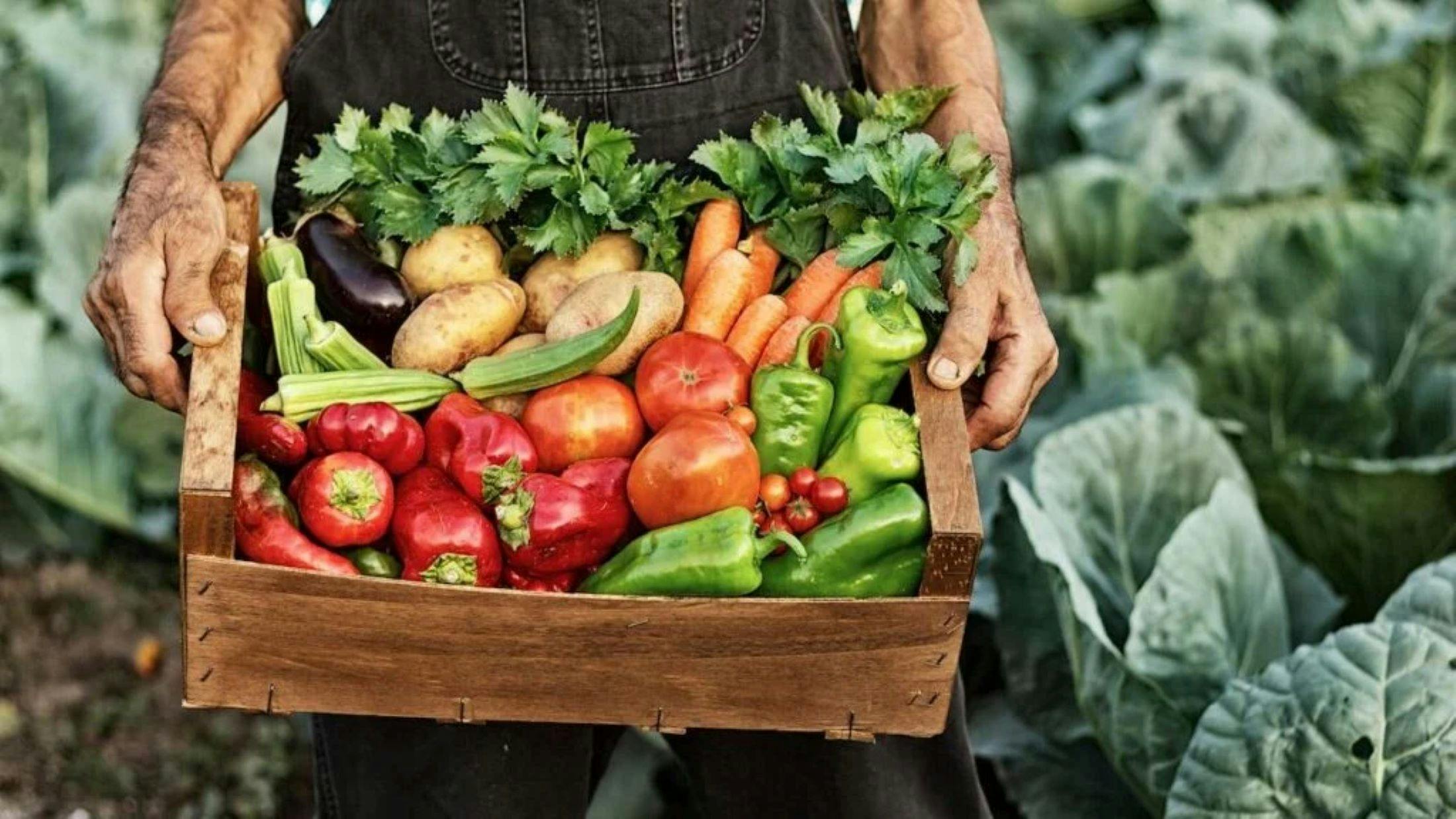 Purple Pear Farm Tour