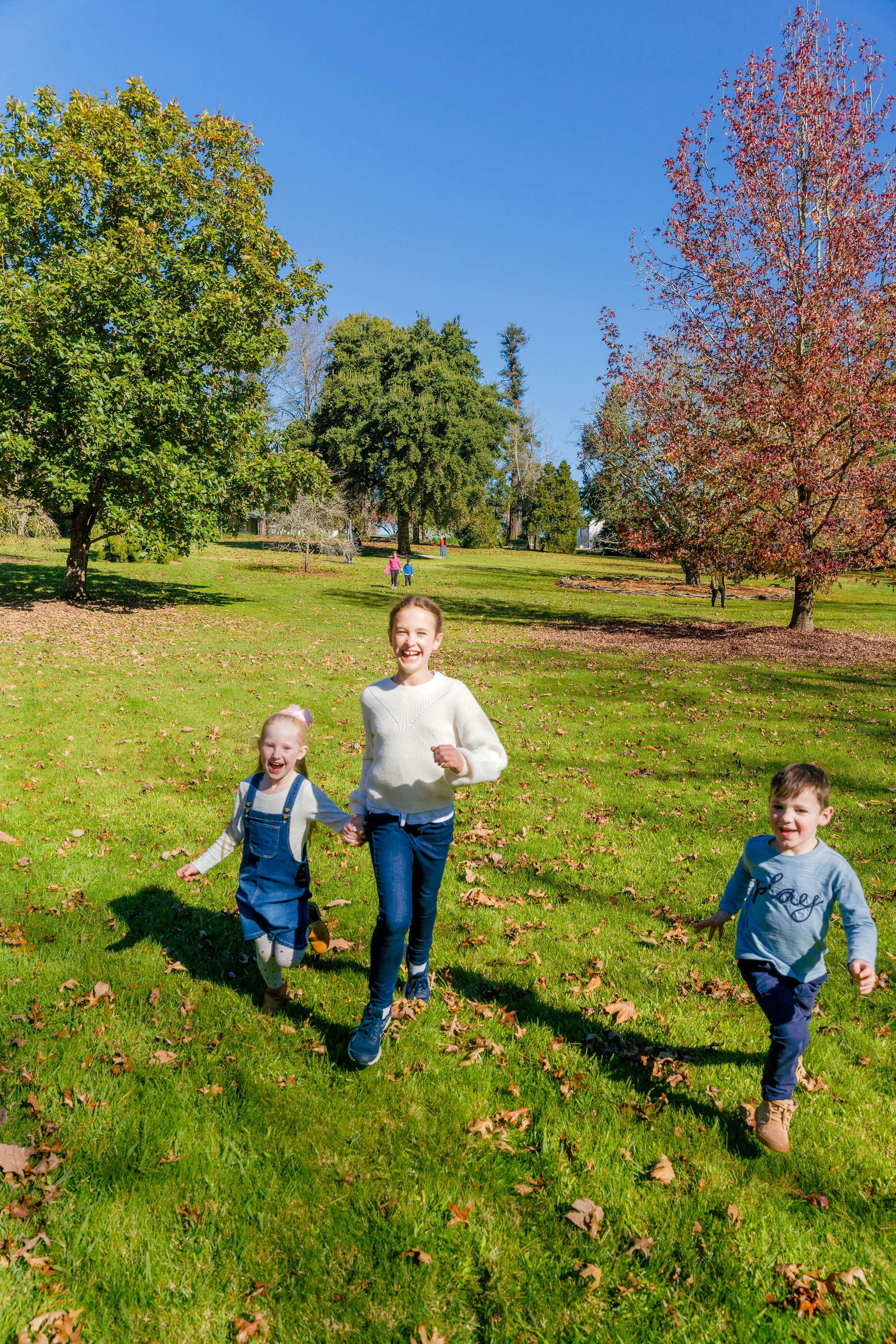 kids running in the parkland at REtford Park