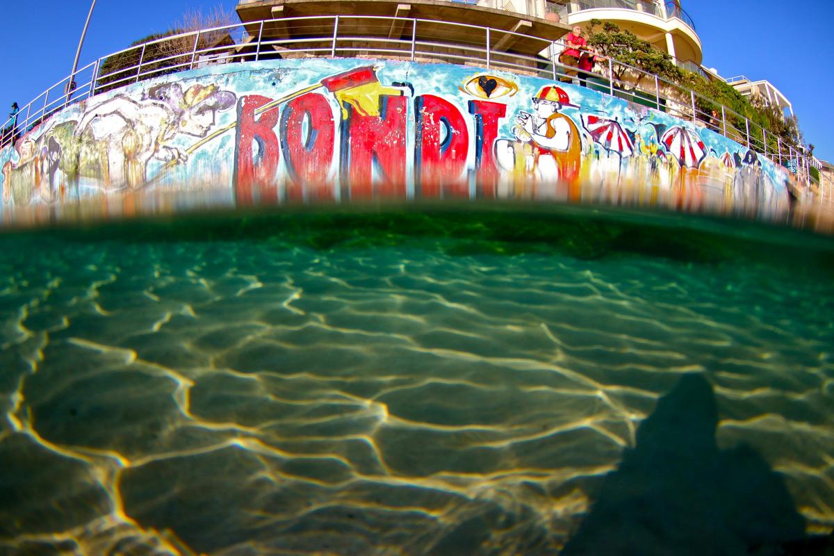 Explore Bondi with a local
