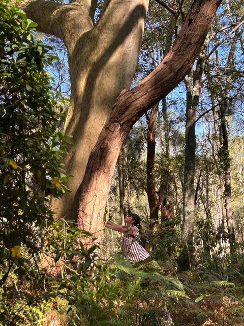 Nature Being Australia