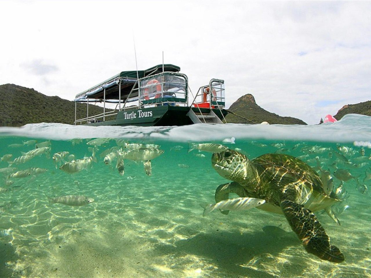 Marine Adventures