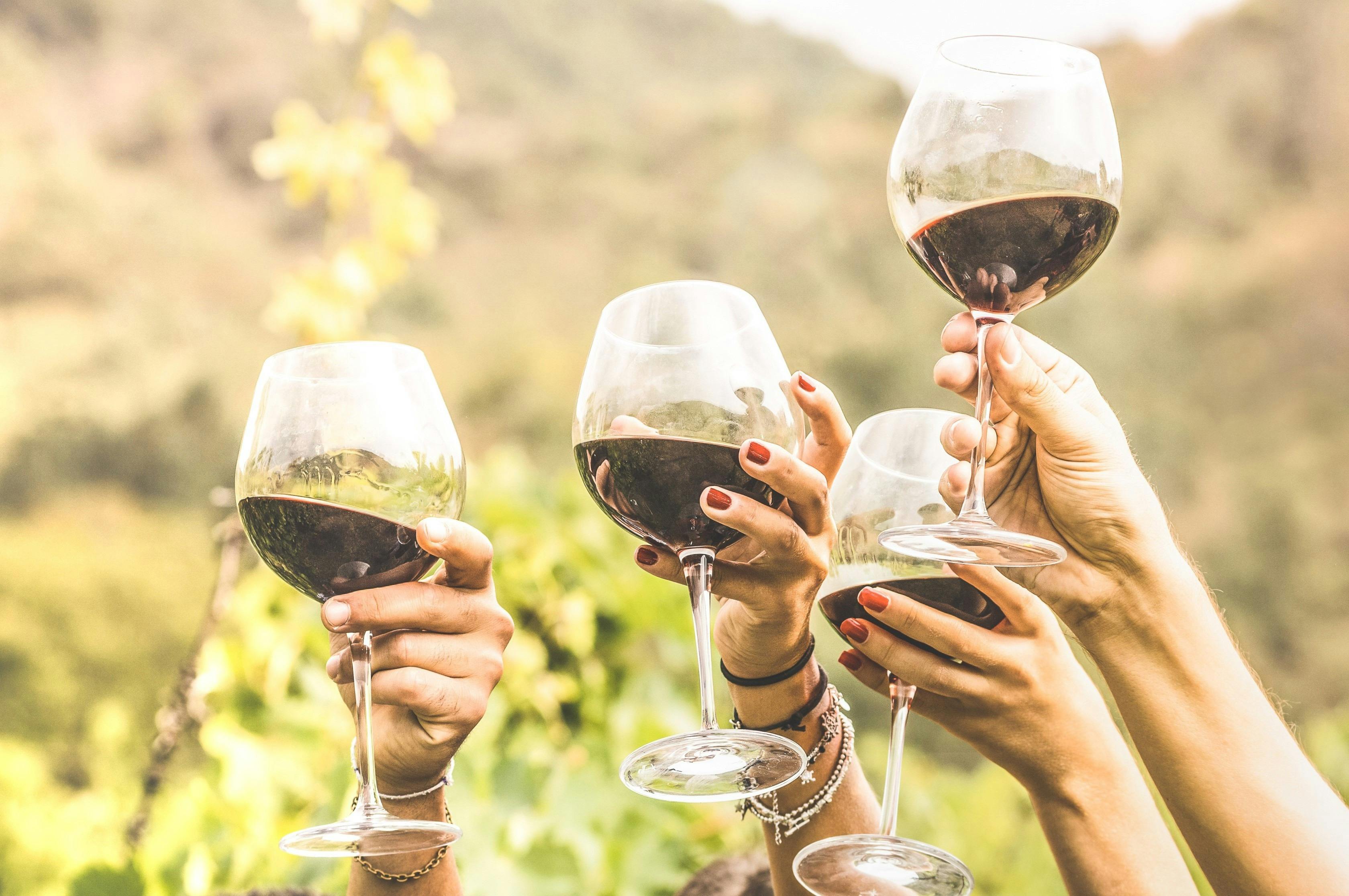 South Coast Wine Tours