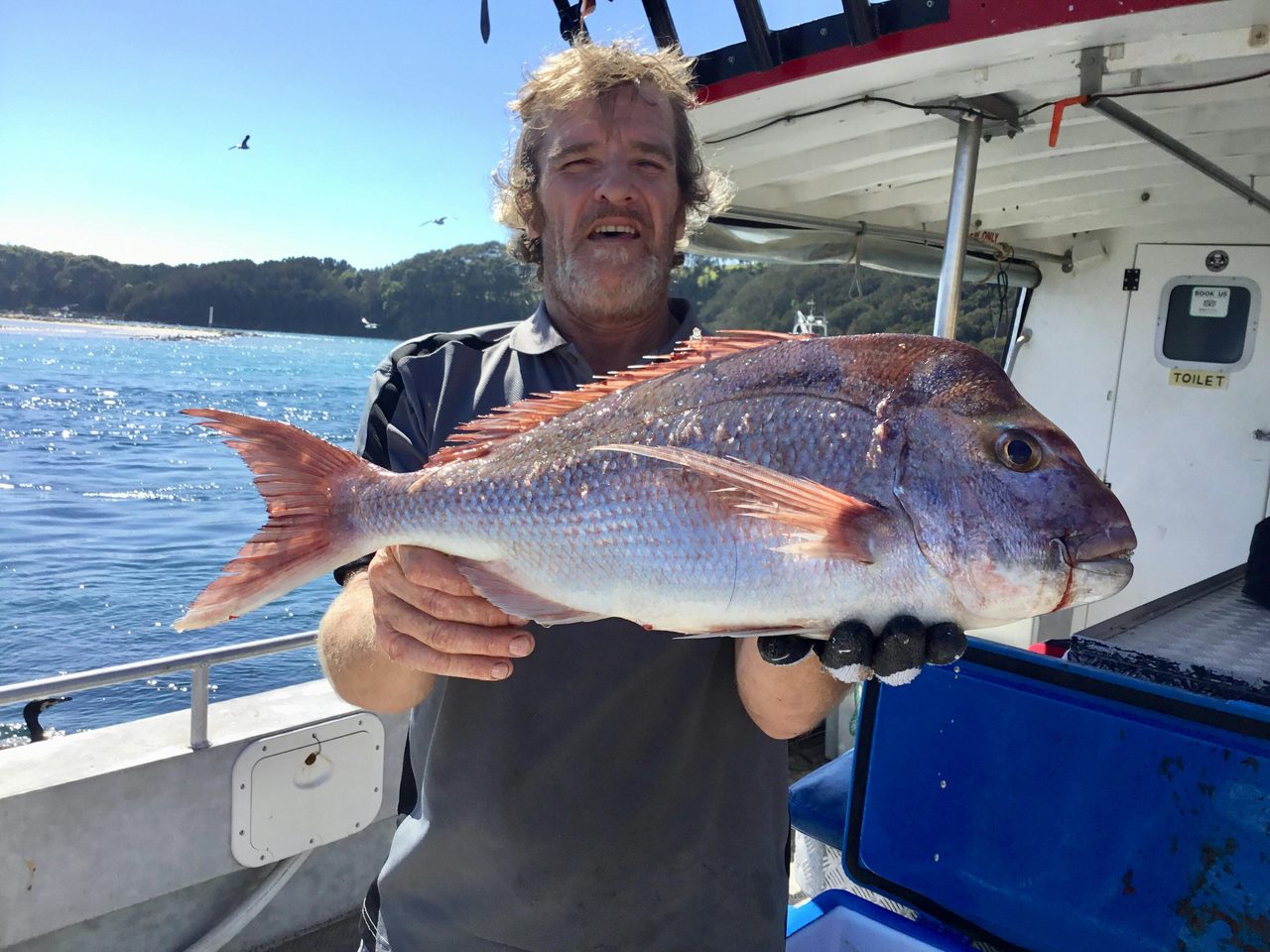 Huge snapper