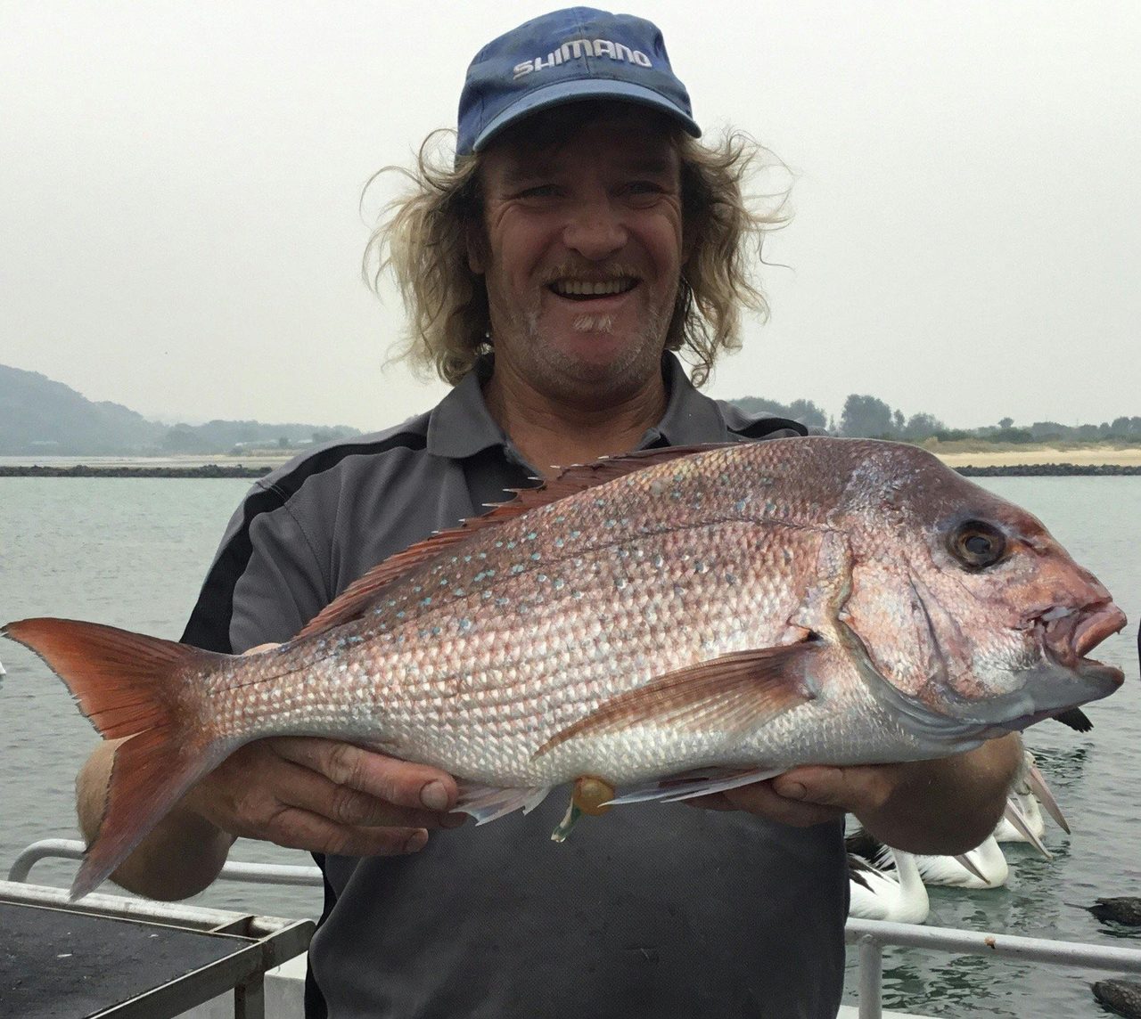 Lovely snapper