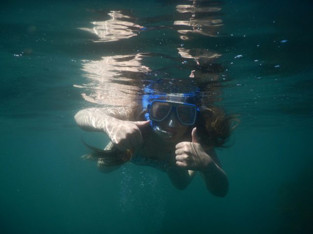Region X Snorkel Tours Batemans Bay