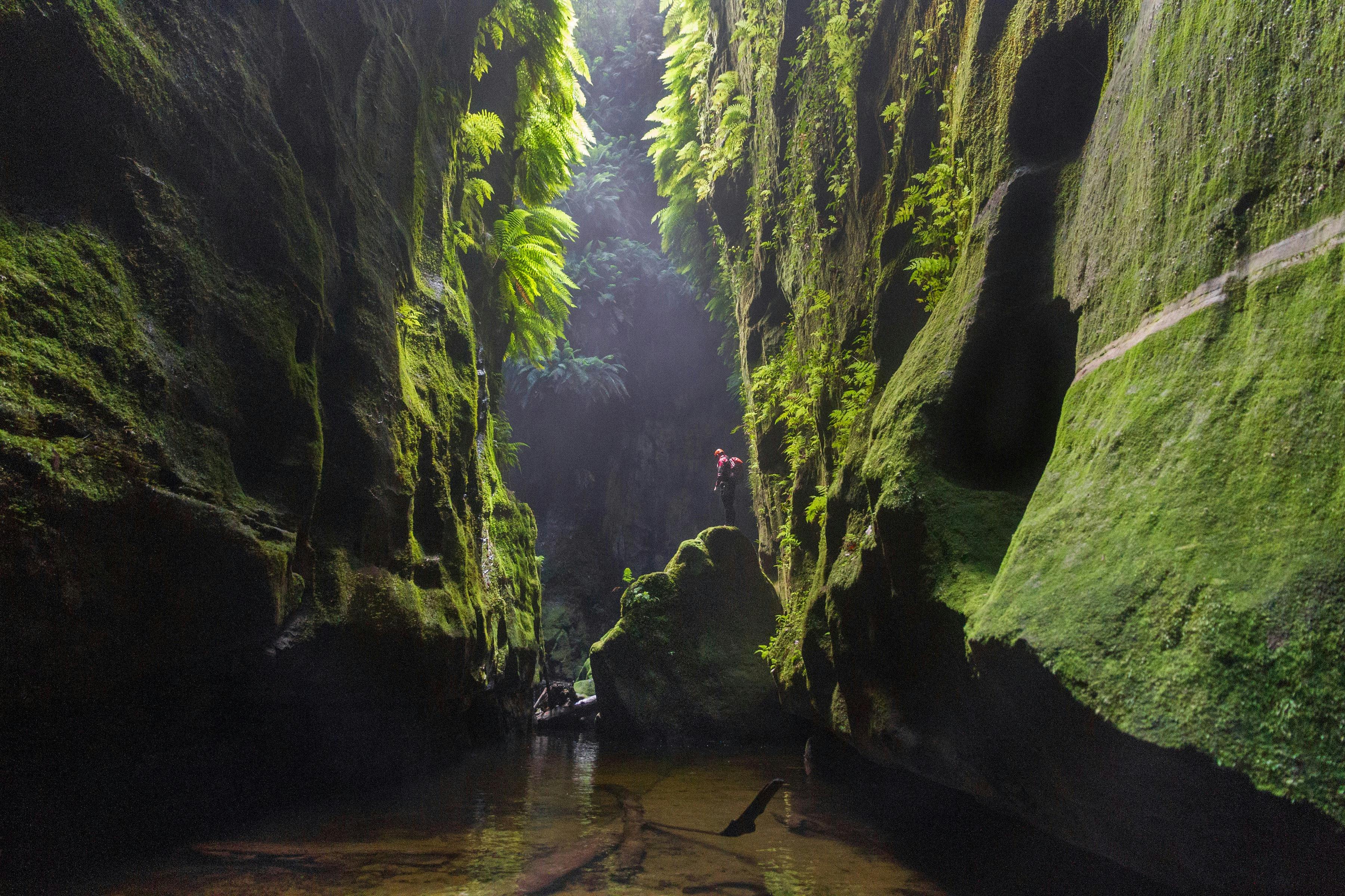 Claustral Canyon Blue Mountains Guided Tour