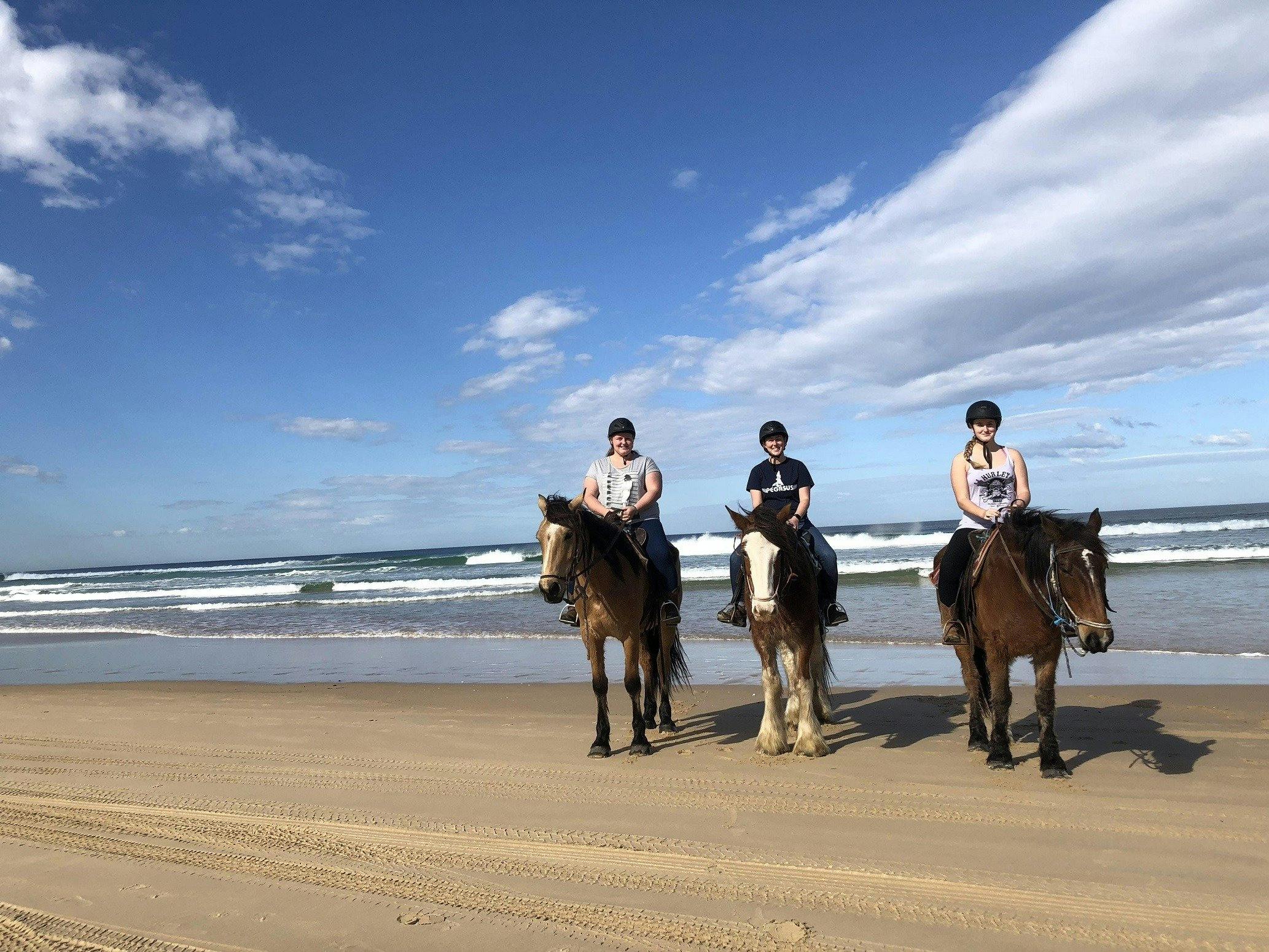 Sahara Trails Horse Riding Port Stephens