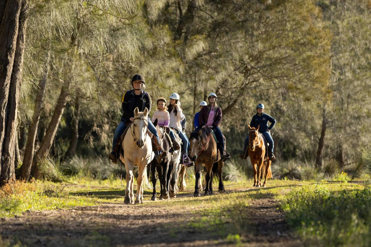 Sahara Trails Horse Riding, Port Stephens