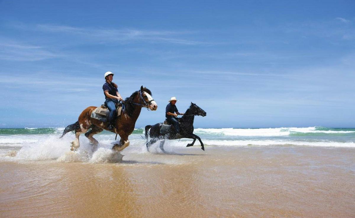 Sahara Trails Horse Riding Port Stephens