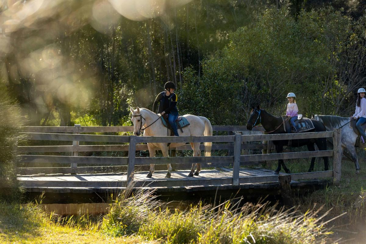 Sahara Trails Horse Riding, Port Stephens
