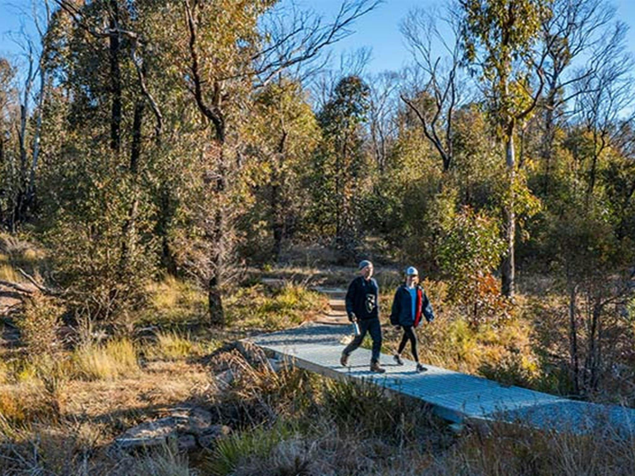 2 walkers on Warrigal walking track, Cathedral Rock National Park. Photo: Josh Smith &copy; DPE