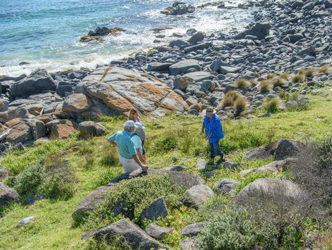 Cultural Walking Tours