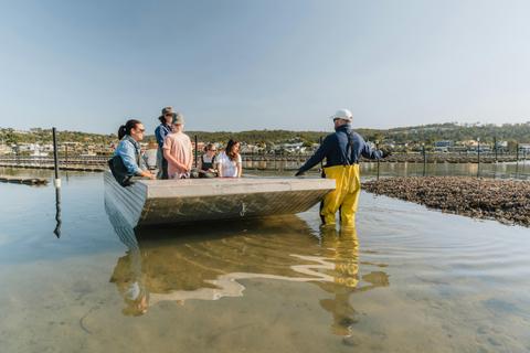 Small group being shown a oyster bed.