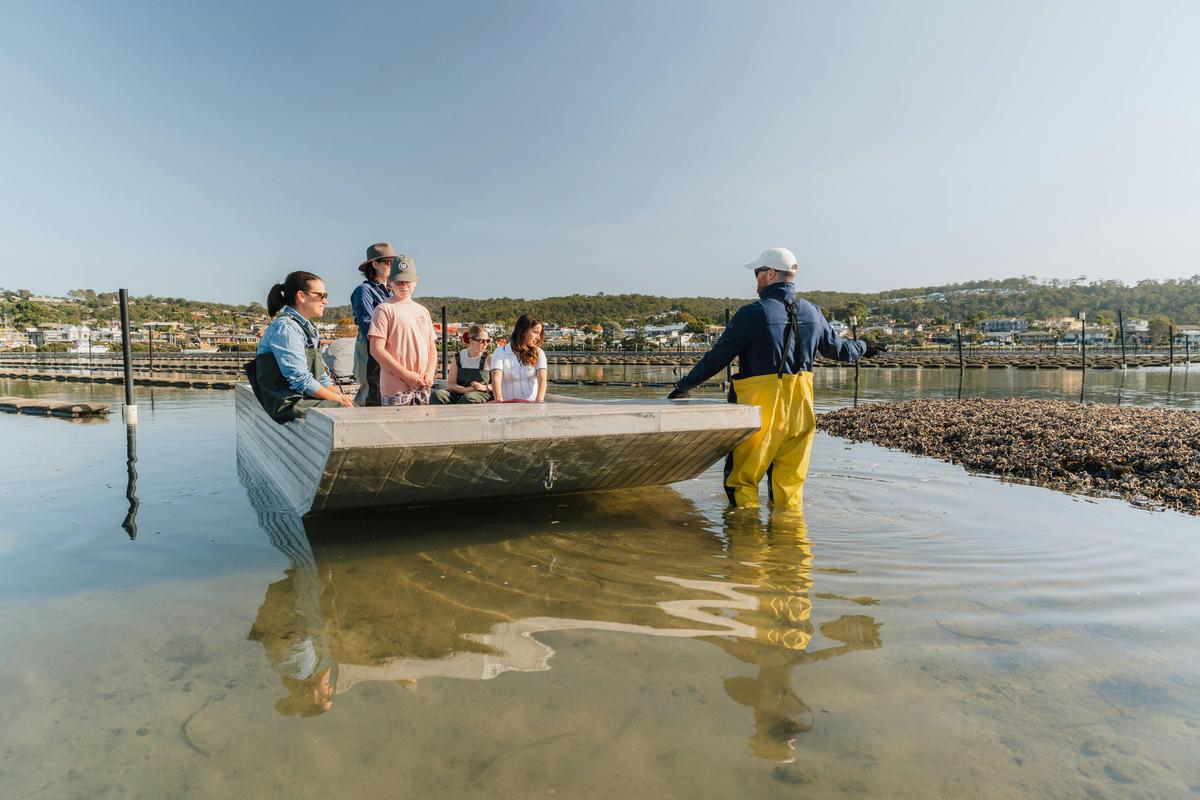 Small group being shown a oyster bed.