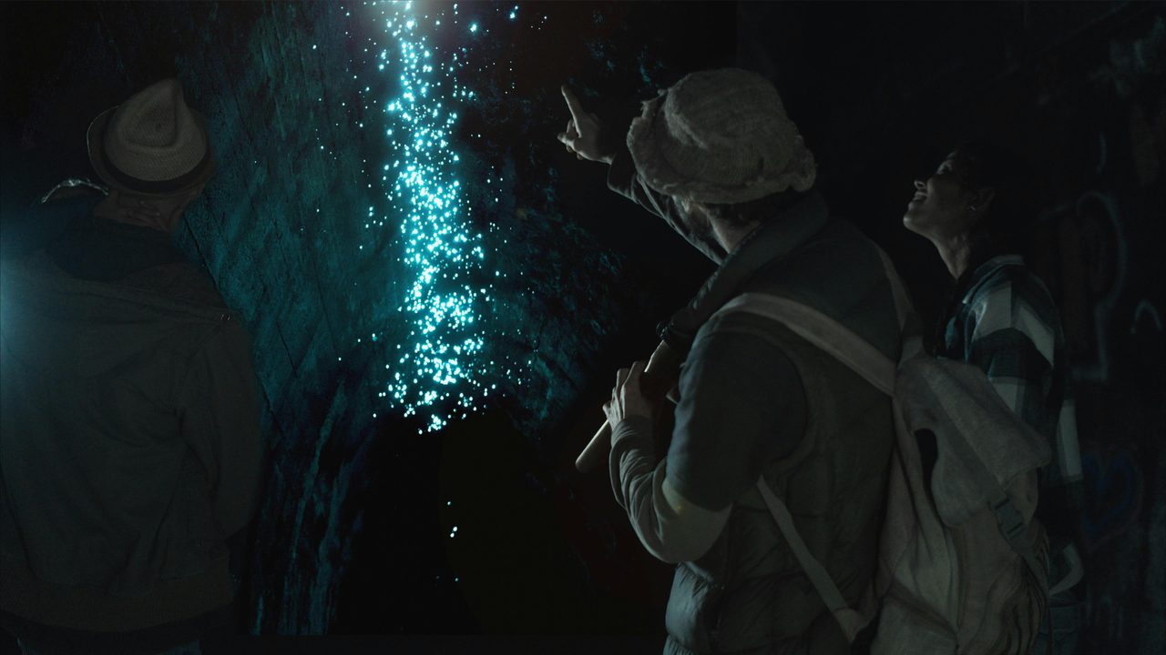 Glowworm