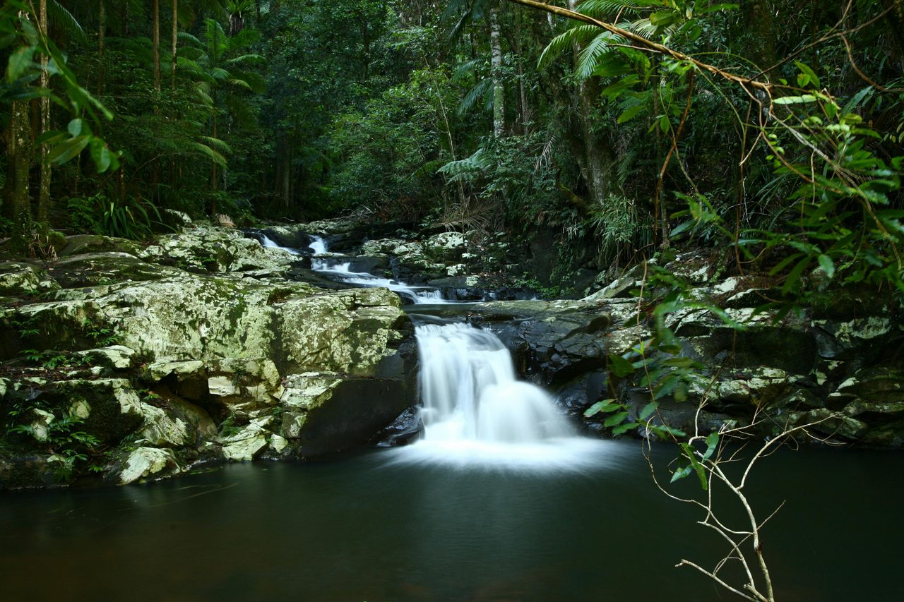 BAT CREEK