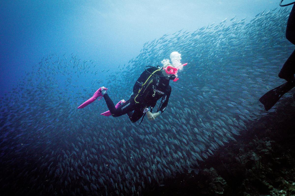 Scuba Diving with pink fins