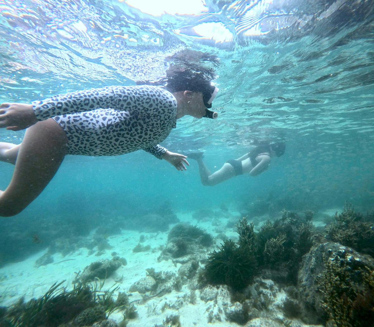 Snorkeling available for ages 12+