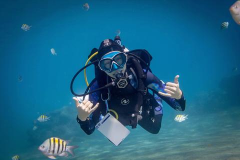 Scuba Discovery – Intro to Scuba Diving in Port Stephens