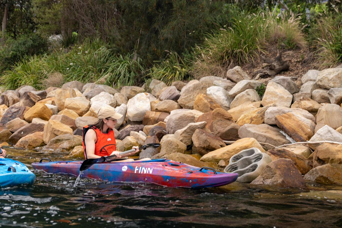 Sydney businesses discover Living Seawall Boulders in Lavender Bay with Sydney By Kayak