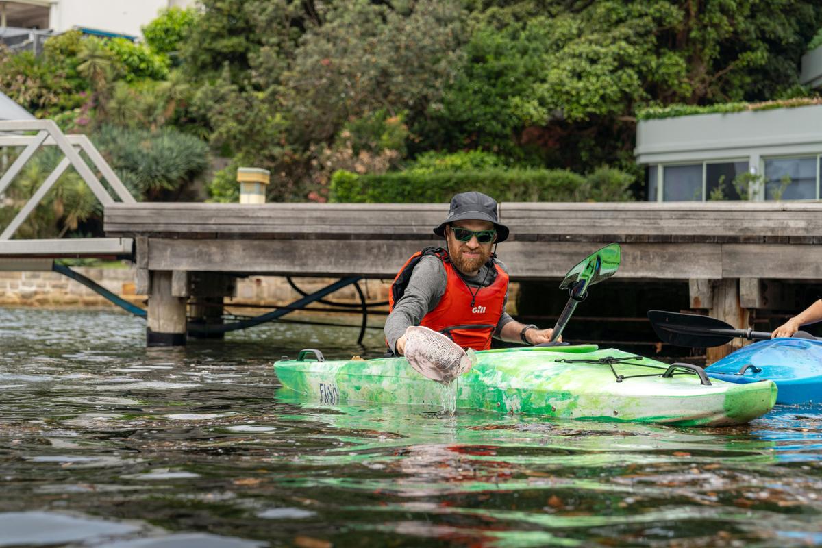 Corporate Clean-Up Paddle on Sydney Harbour with Sydney By Kayak.