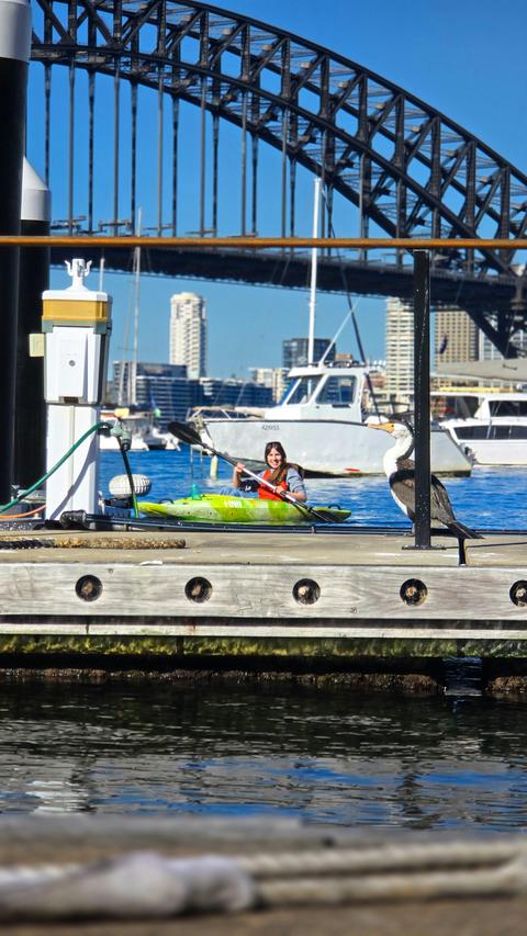 Experience Sydney Harbour by kayak and get close to wildlife.