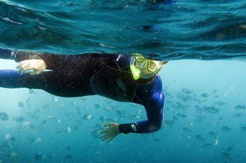 Snorkelling
