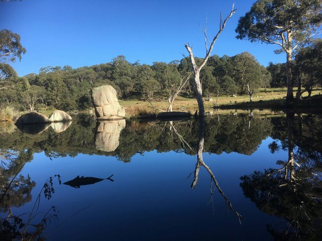 Monaro Fly Fishing Lodging and Guiding Service