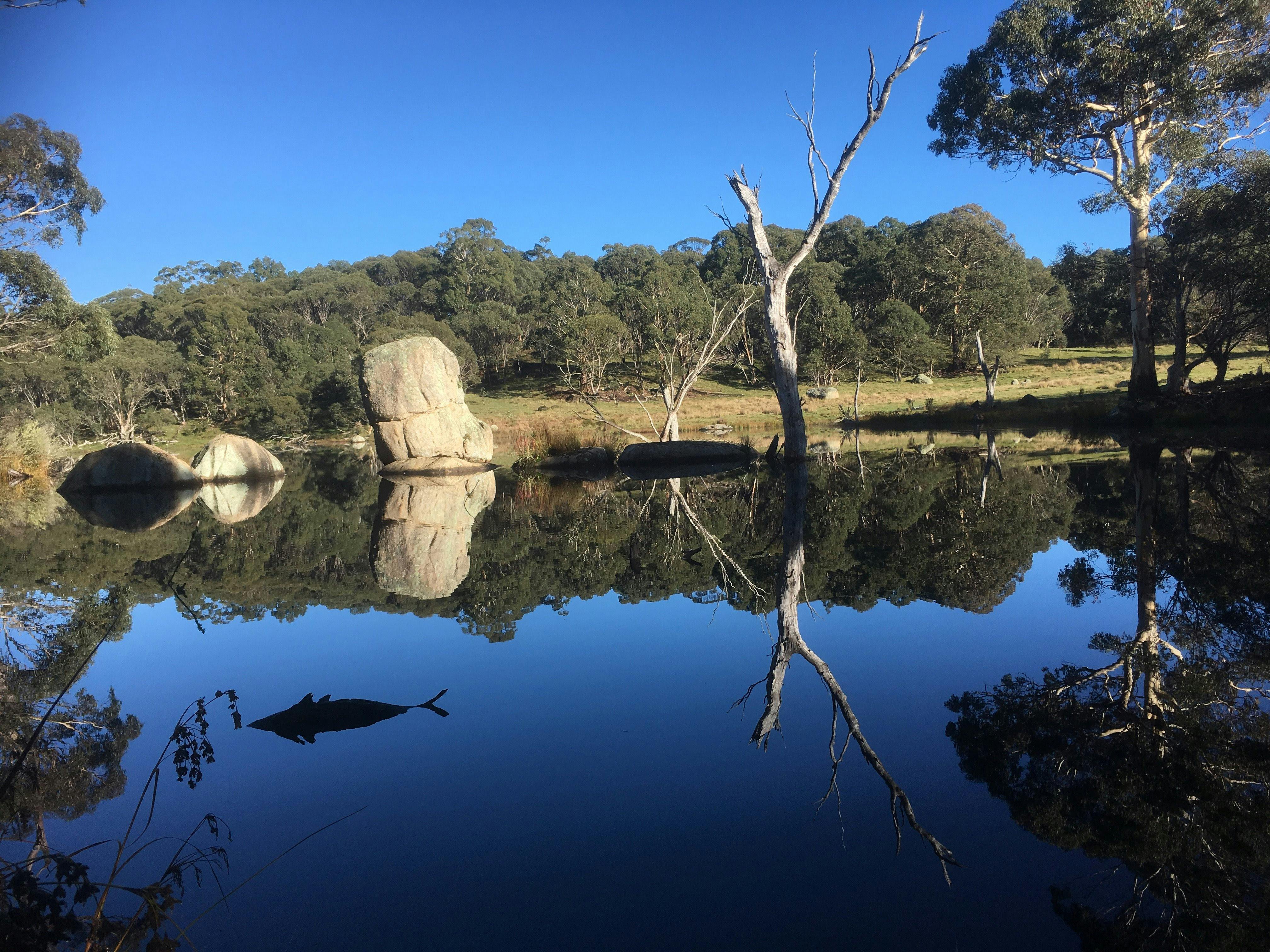 Top lake on Kungla property