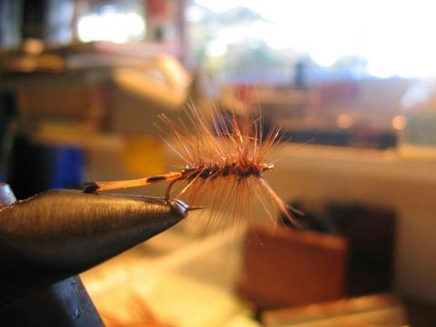 Flys that catch fish