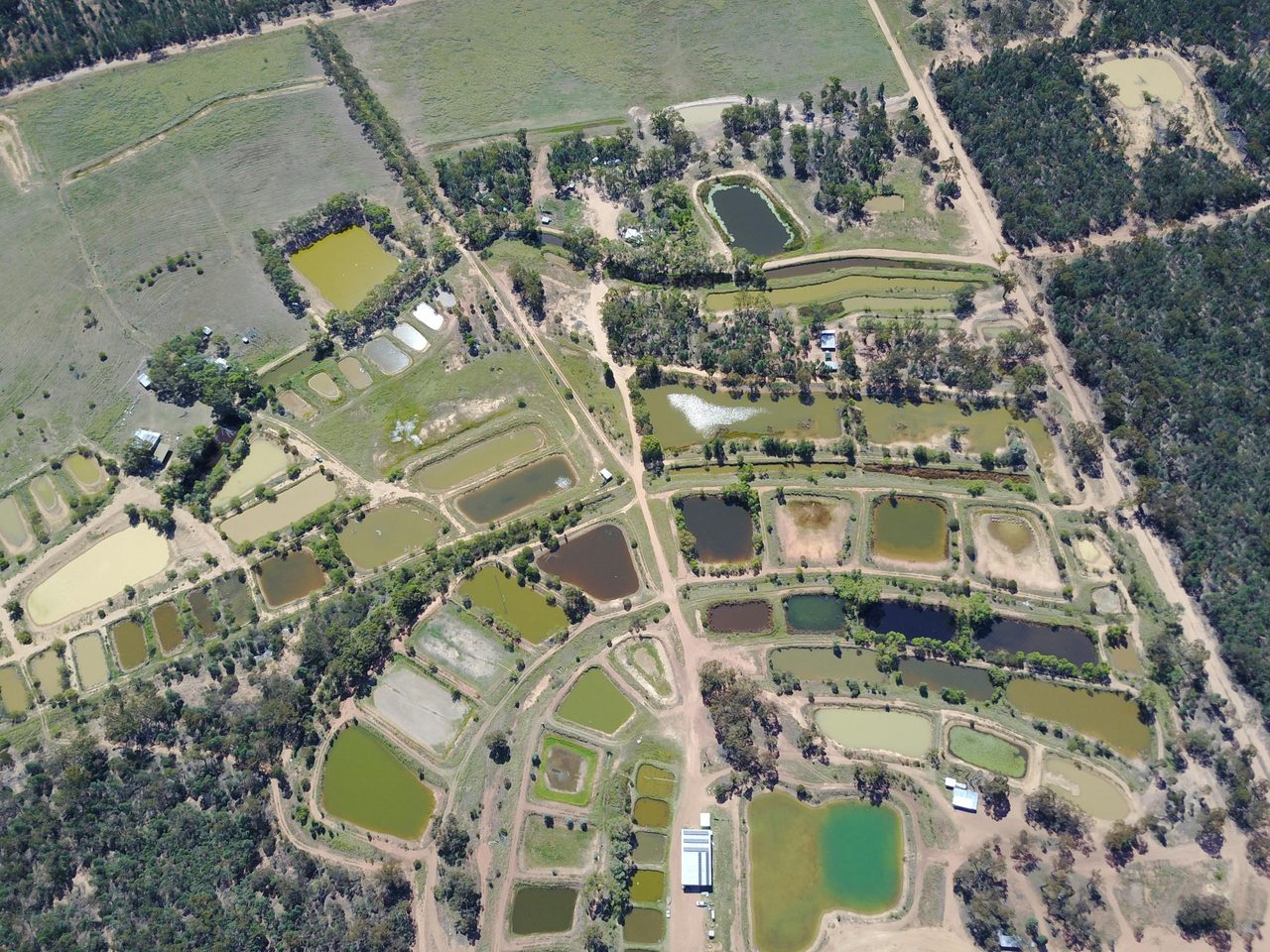 Sky view of Narrabri Fish Farm