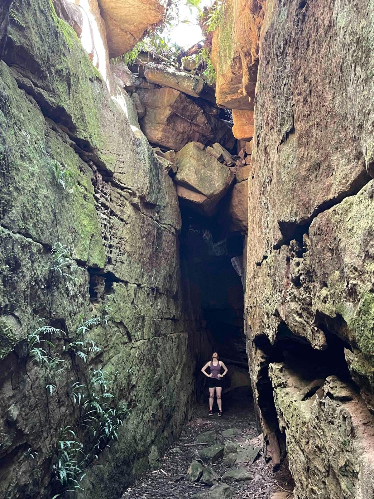 Guided Bushwalking - a popular option for those adventurers looking to explore Kangaroo Valley