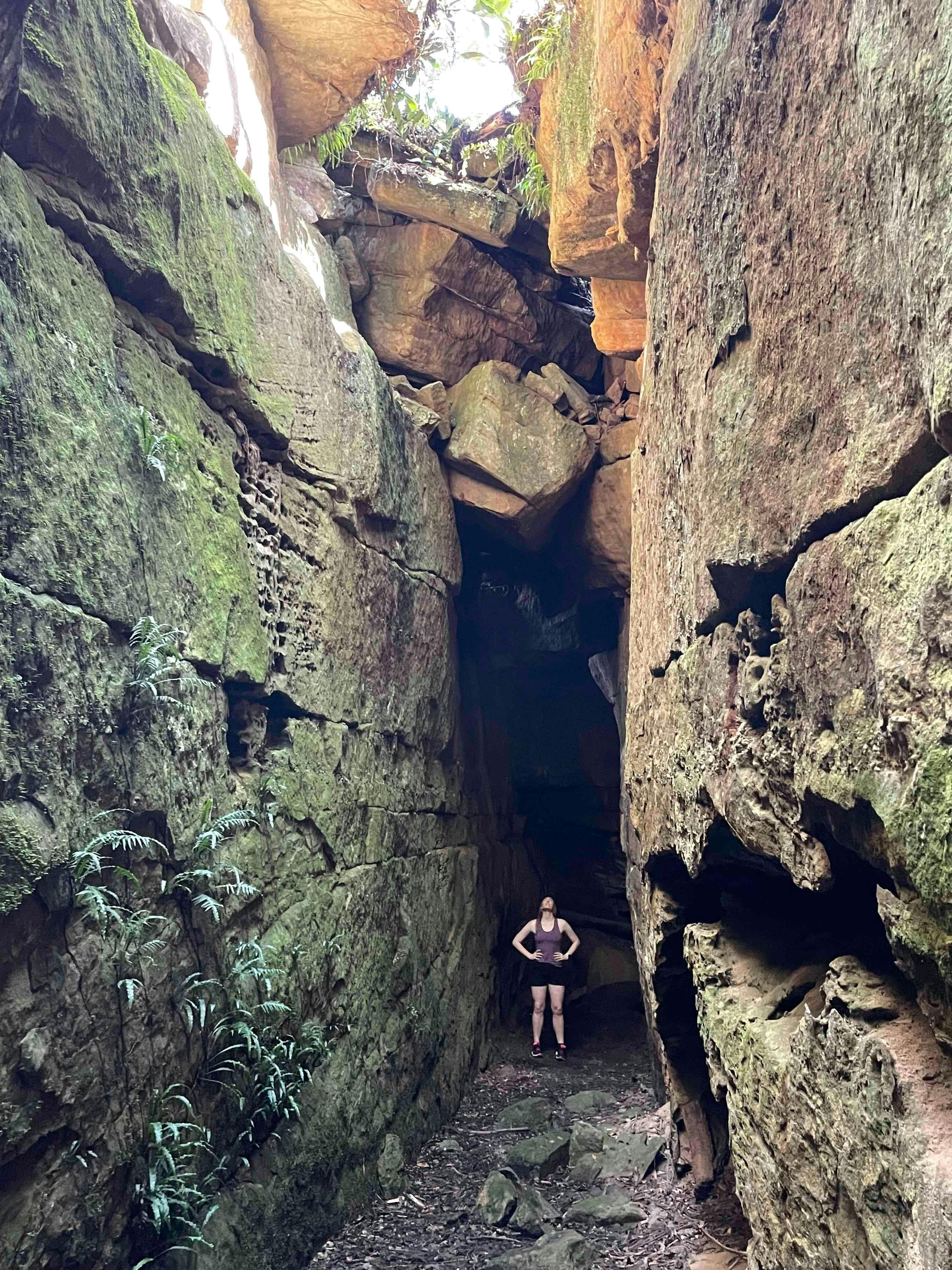 Guided Bushwalking - a popular option for those adventurers looking to explore Kangaroo Valley