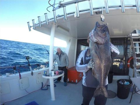 Week day morning fishing charter Cronulla
