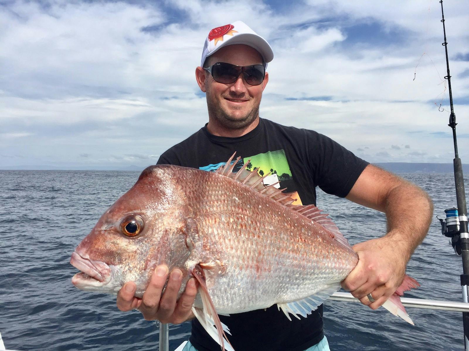 Snapper - Sydney Premium Charters