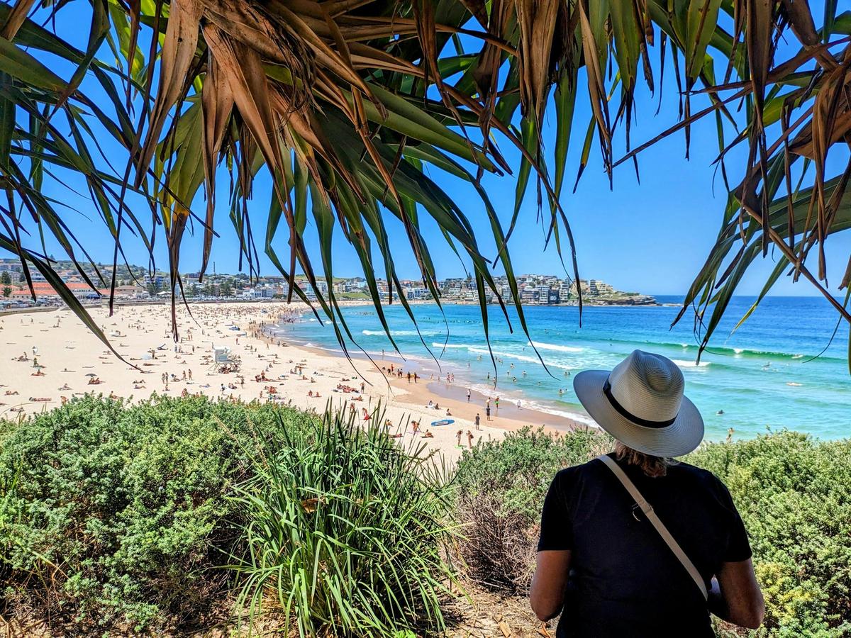 Views over Bondi Beach on our Private Sydney, Watsons Bay and Bondi Beach Tour