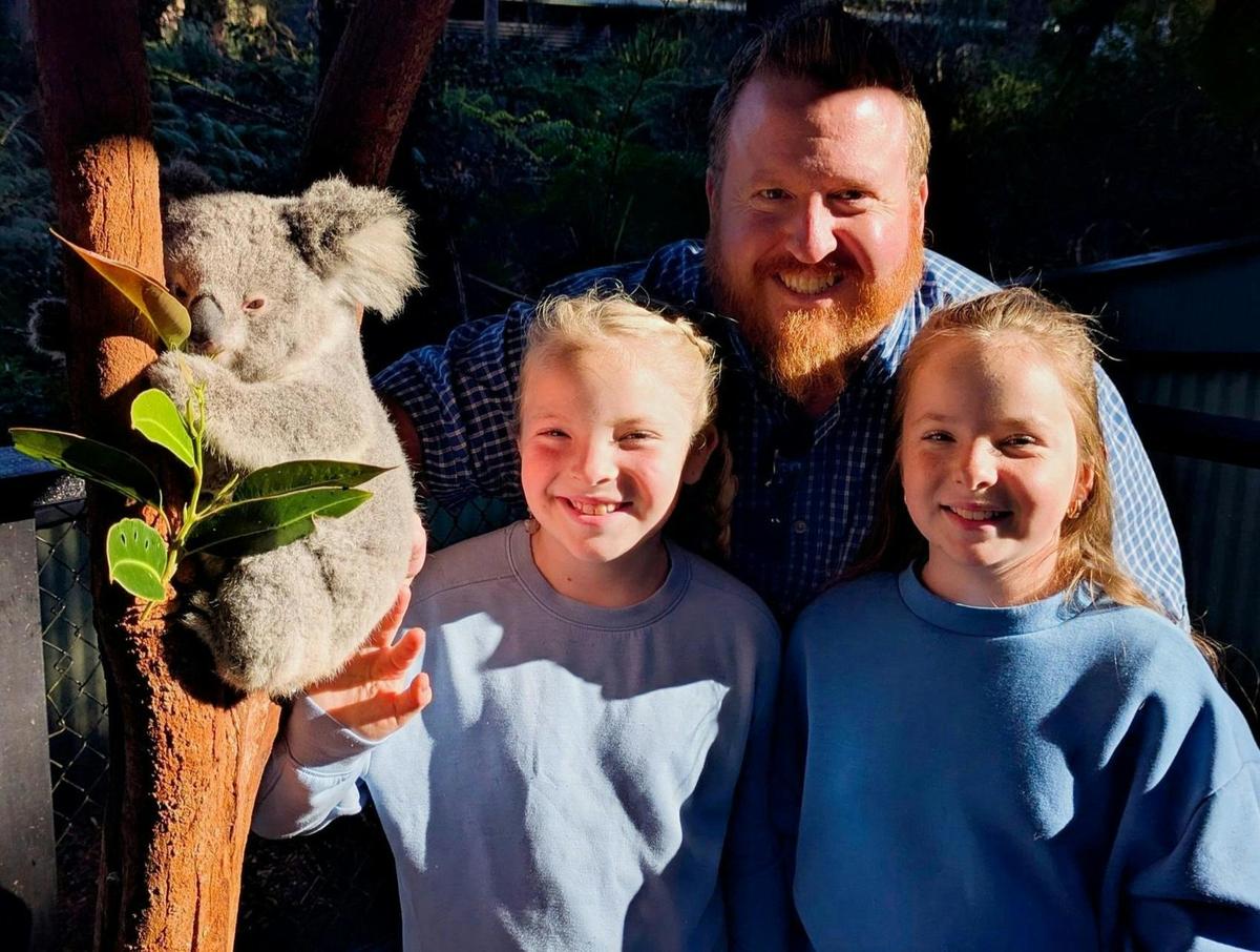 Private koala encounter on Koalas, Kangaroos, Waterfalls and Scenic Train Journey tour