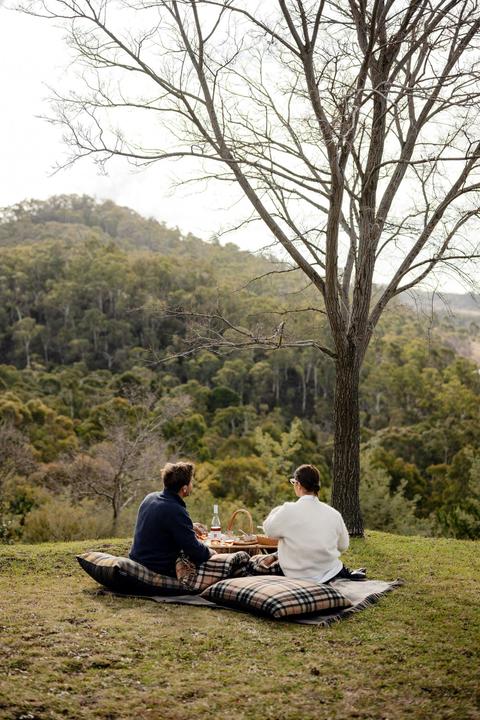 Picnic on the lawn, overlooking Towac Valley