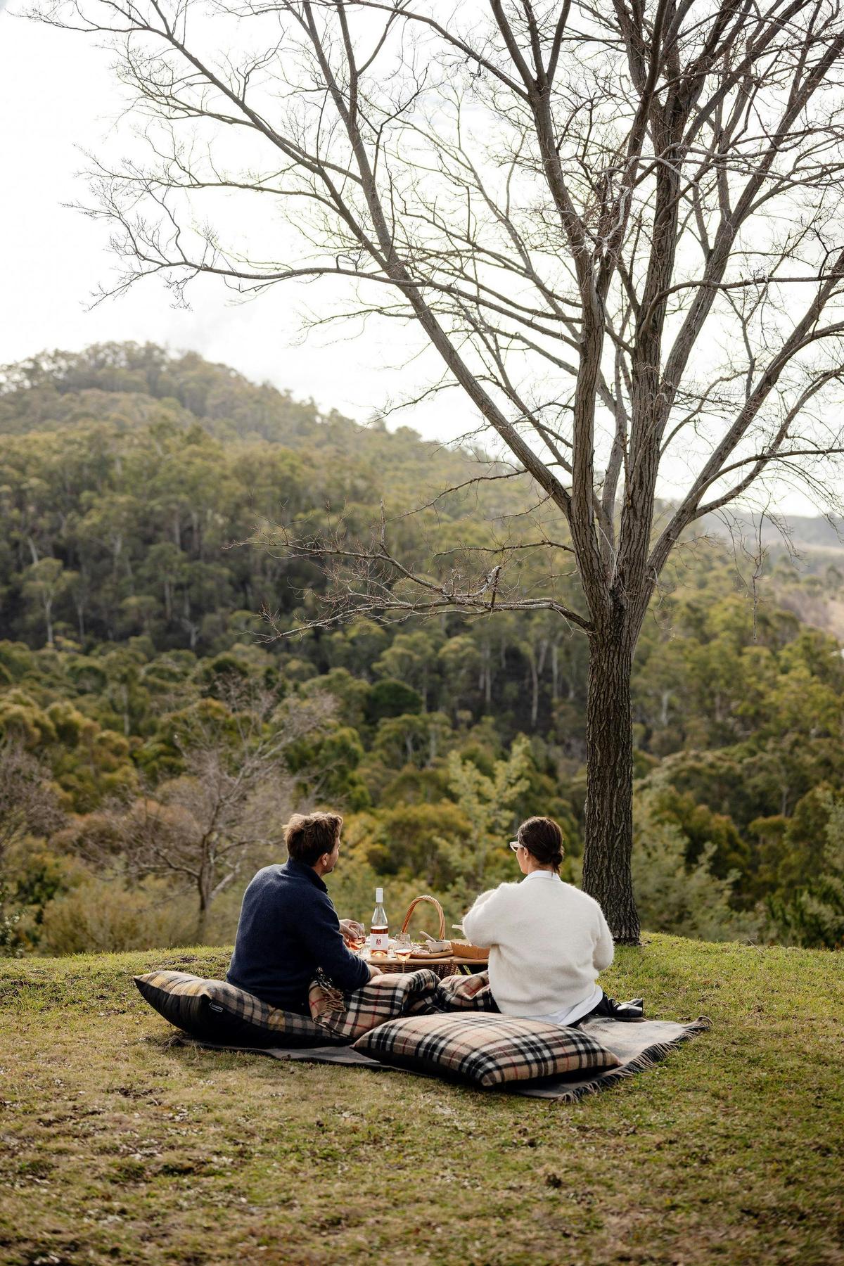 Picnic on the lawn, overlooking Towac Valley