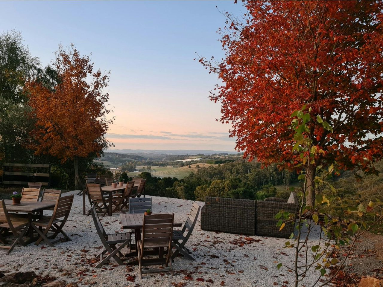 Sunset view from Macquariedale Organic Wines